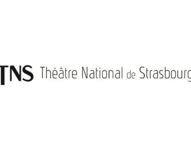 Tns Logo 1 379x300, Strossburi